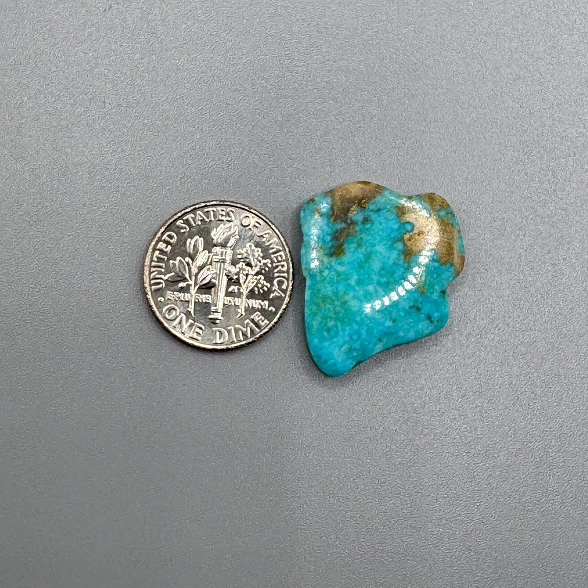 Kingman Turquoise Squiggly Cabochon