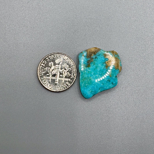 Kingman Turquoise Squiggly Cabochon