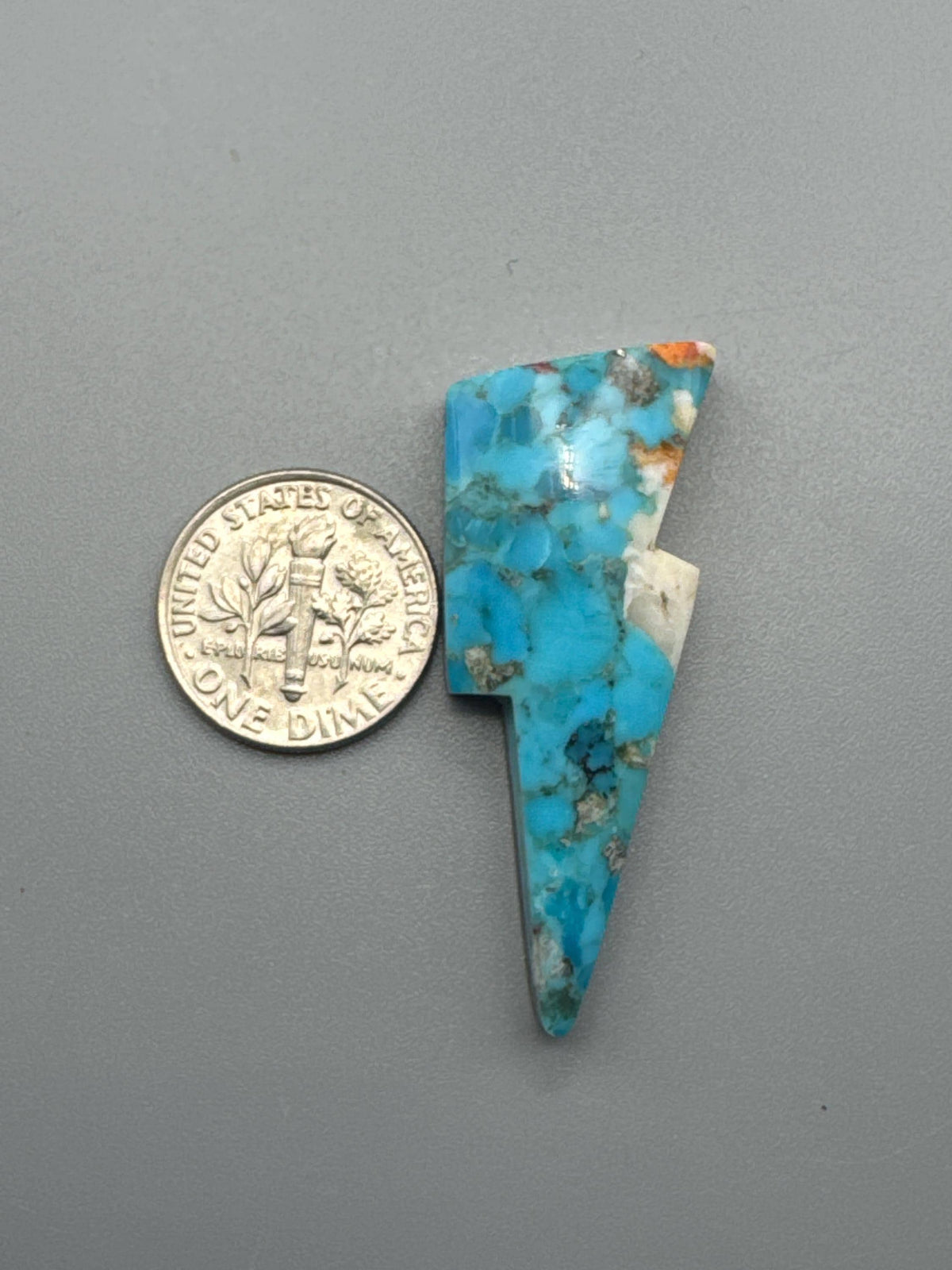 Spiny Oyster/Kingman Turquoise Lightning Bolt Cabochon