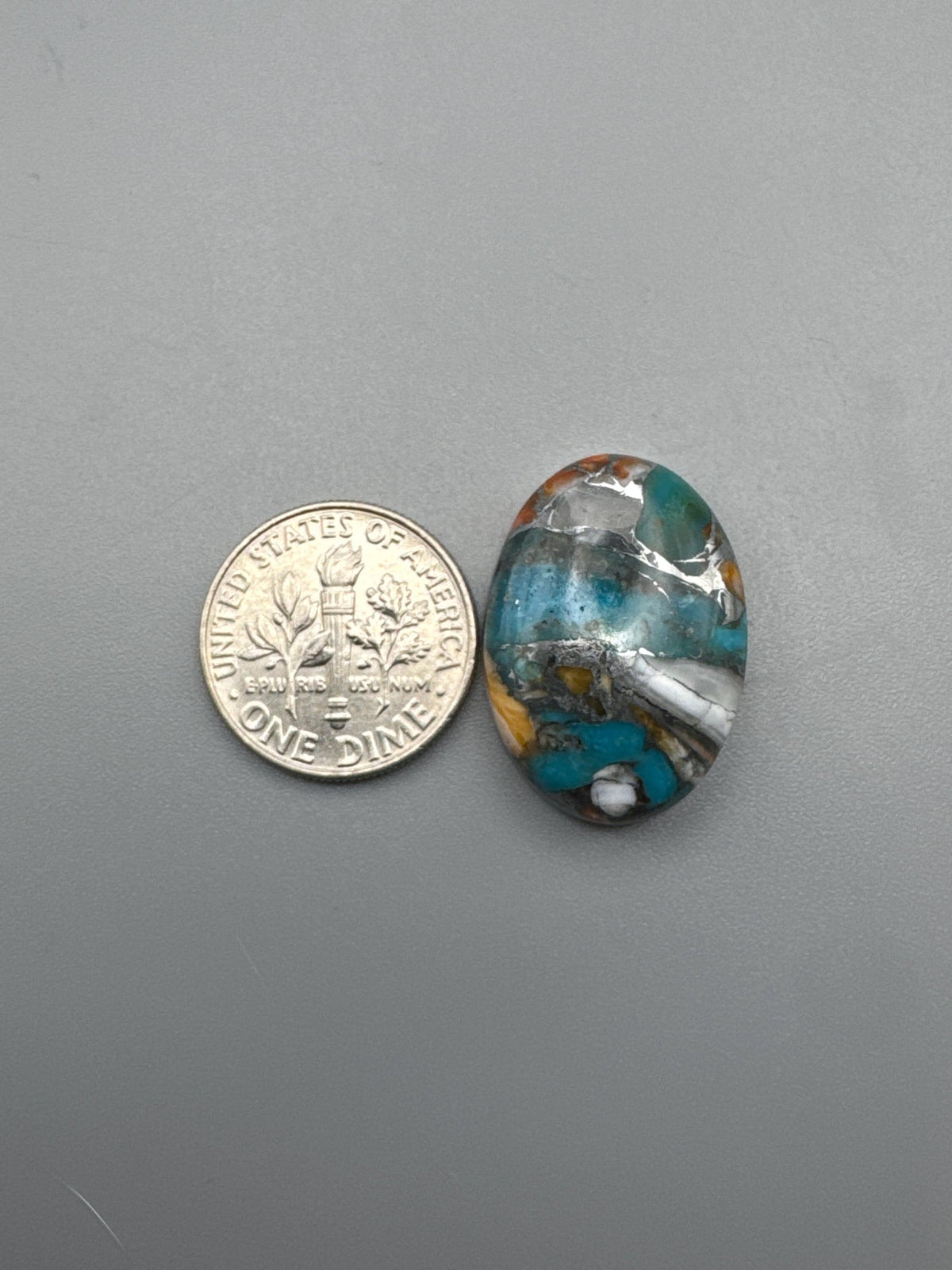 Spiny Oyster/Kingman Turquoise Cabochon