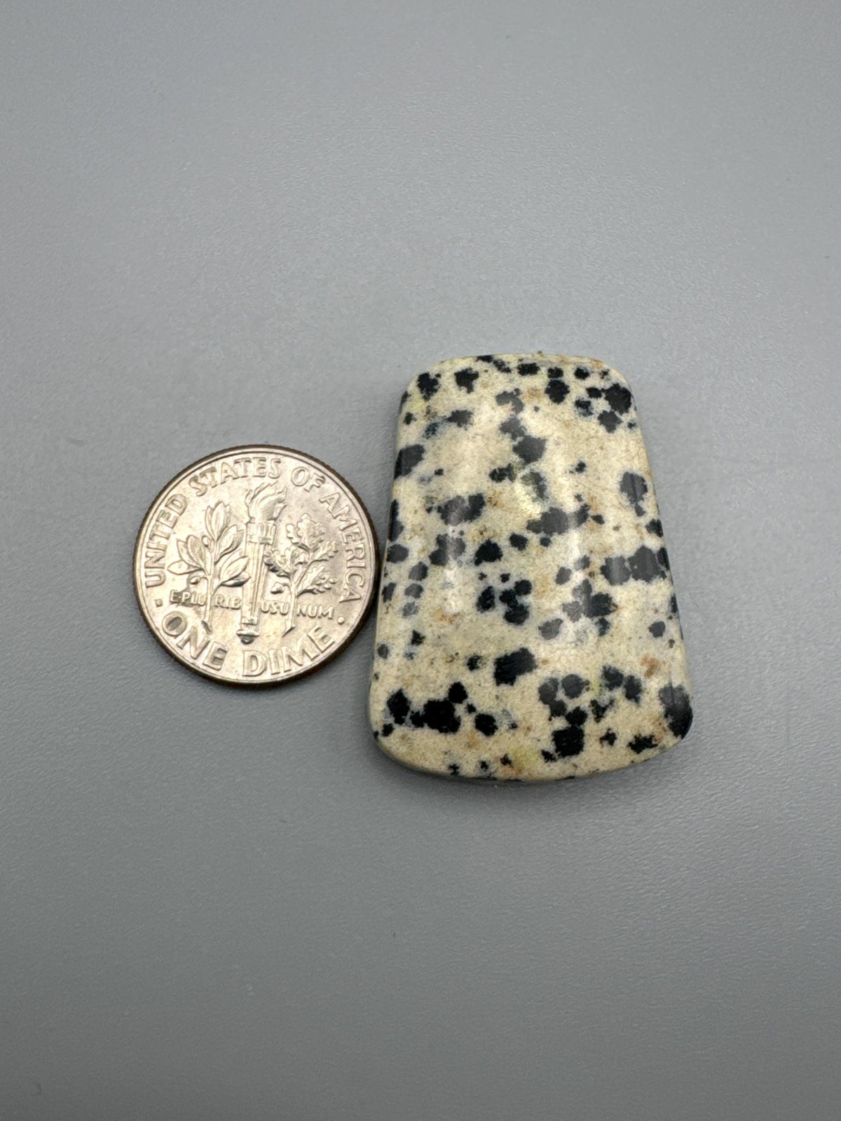 Dalmatian Jasper Cabochon