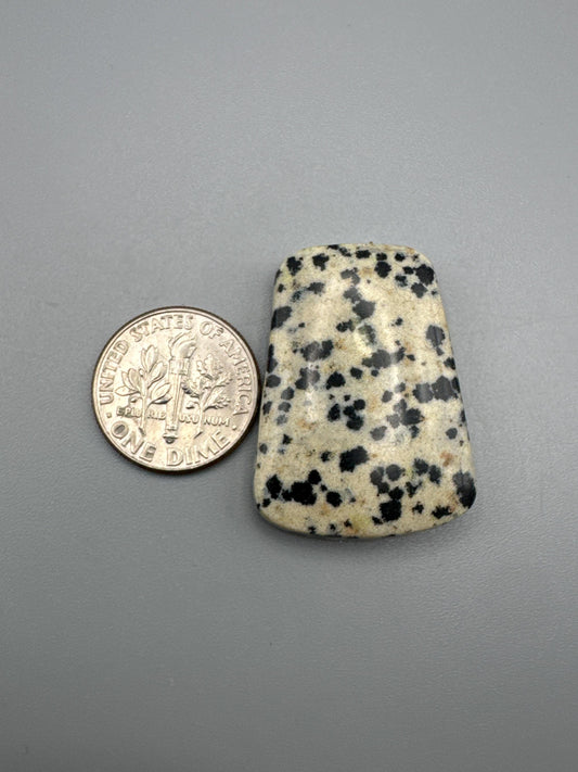 Dalmatian Jasper Cabochon