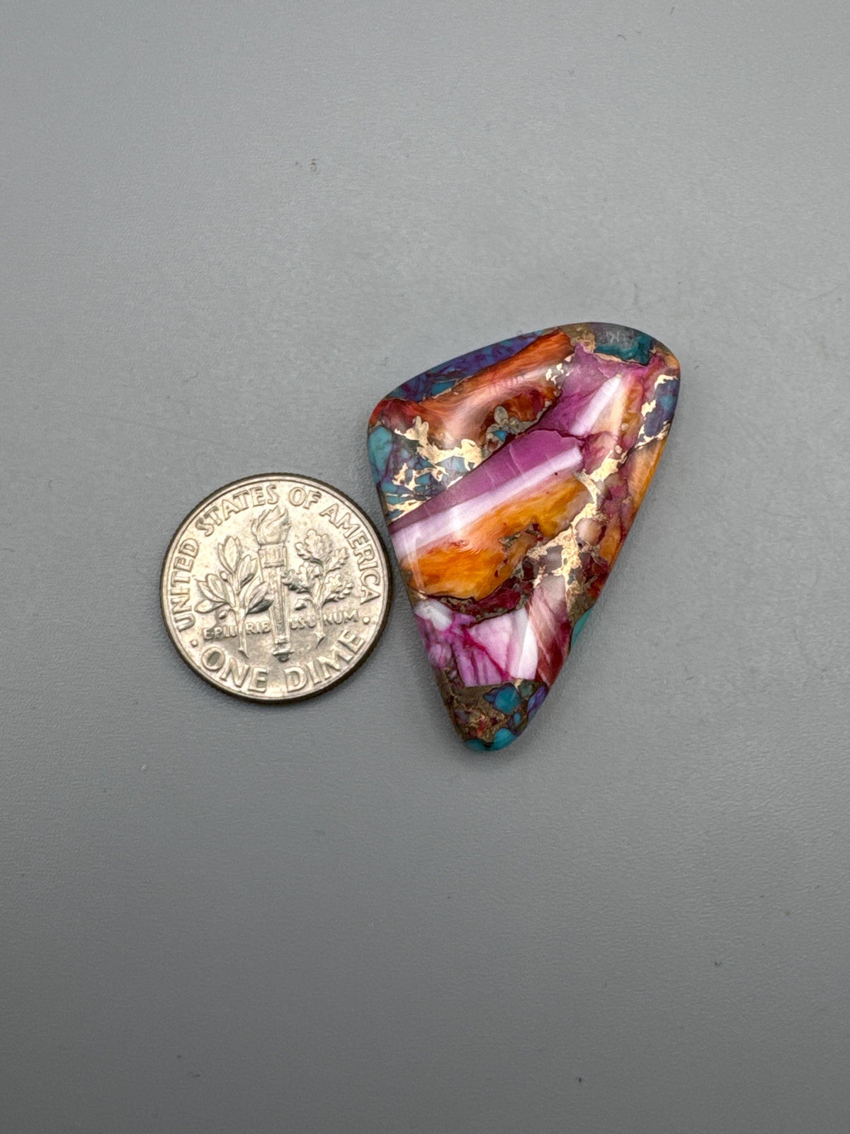Spiny Oyster Cabochon