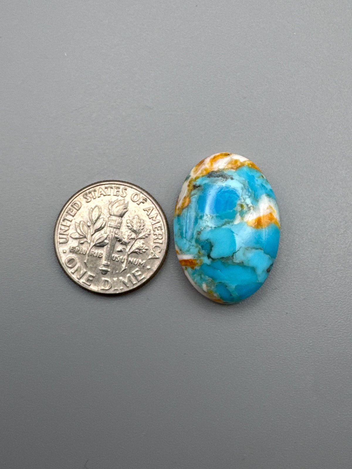 Spiny Oyster/Kingman Turquoise Cabochon