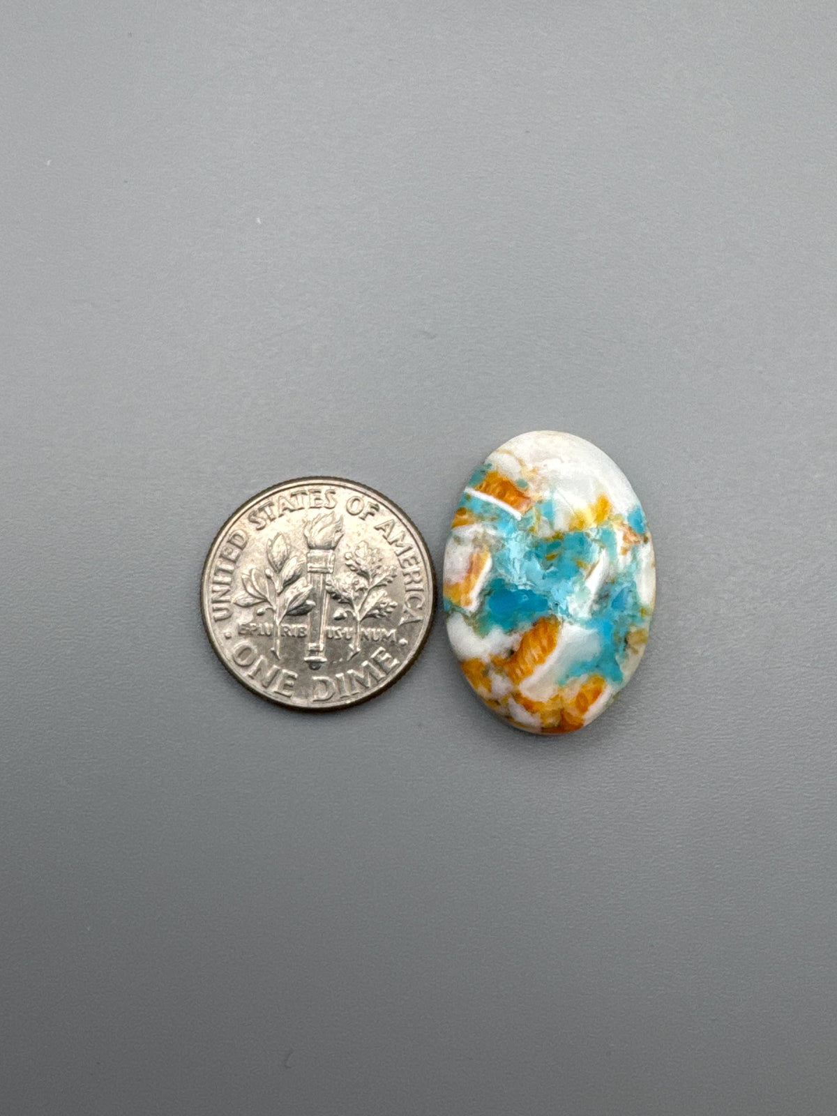 Spiny Oyster/Kingman Turquoise Cabochon
