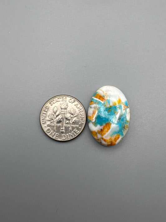 Spiny Oyster/Kingman Turquoise Cabochon