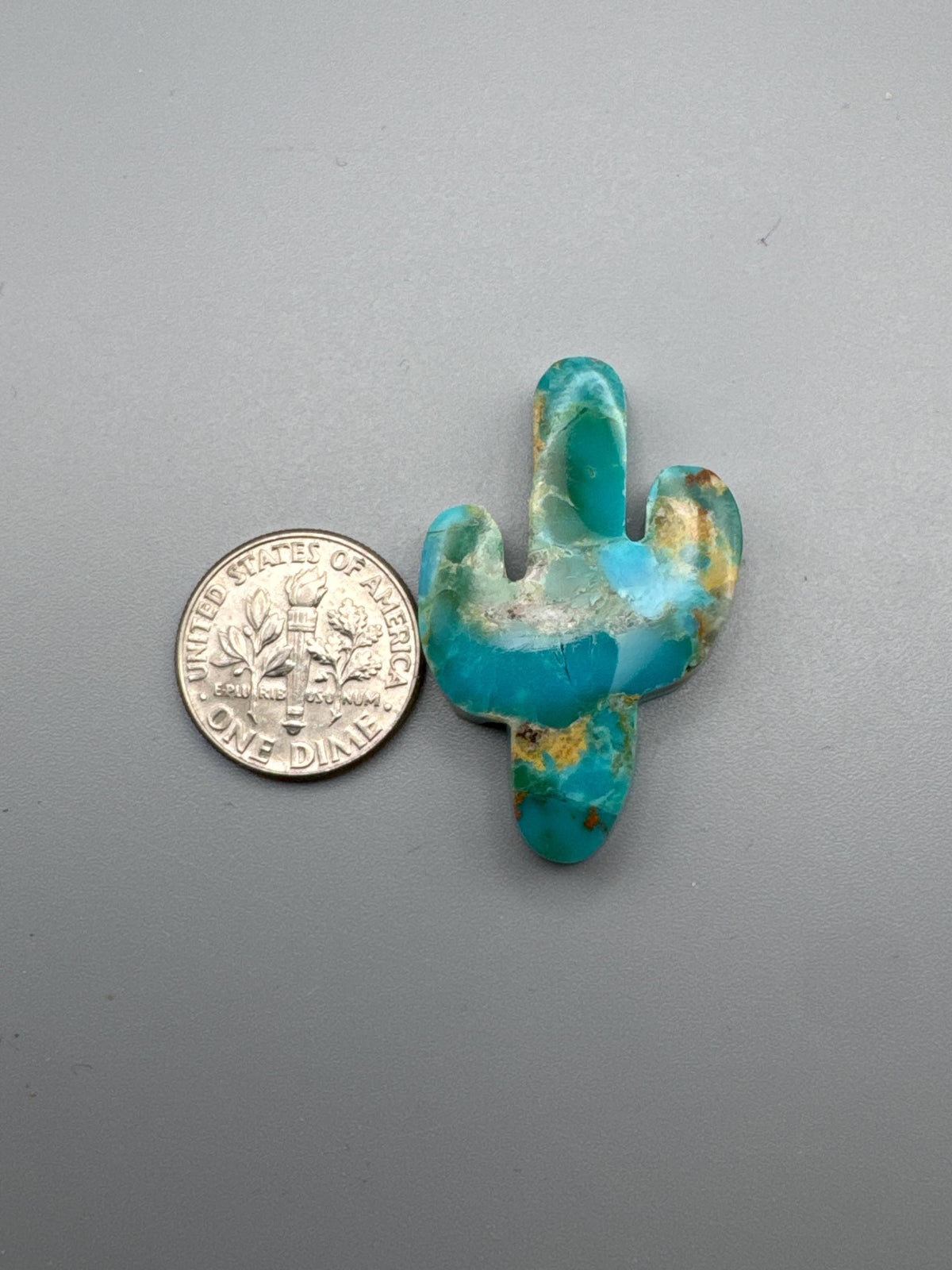 Kingman Turquoise Cactus Cabochon