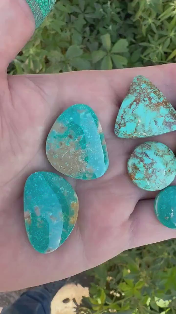 Alacron Turquoise Cabochon