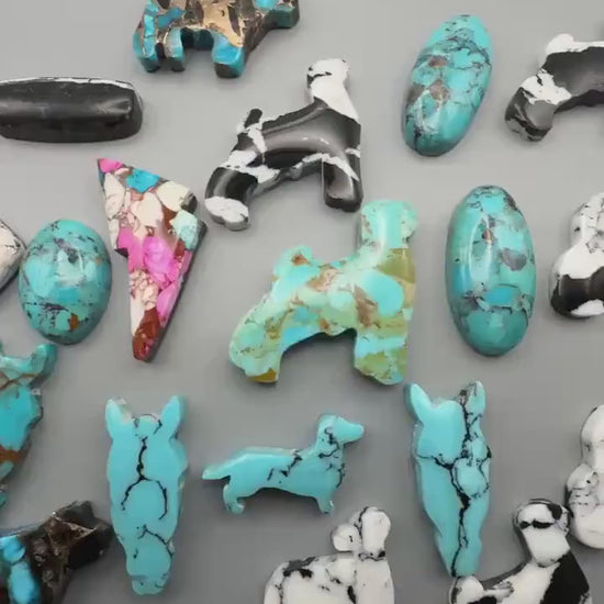 Black/white   (reconstructed) White Buffalo sheep