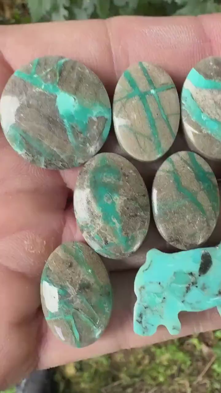 Natural carico Lake Ribbon Turquoise Cabochon