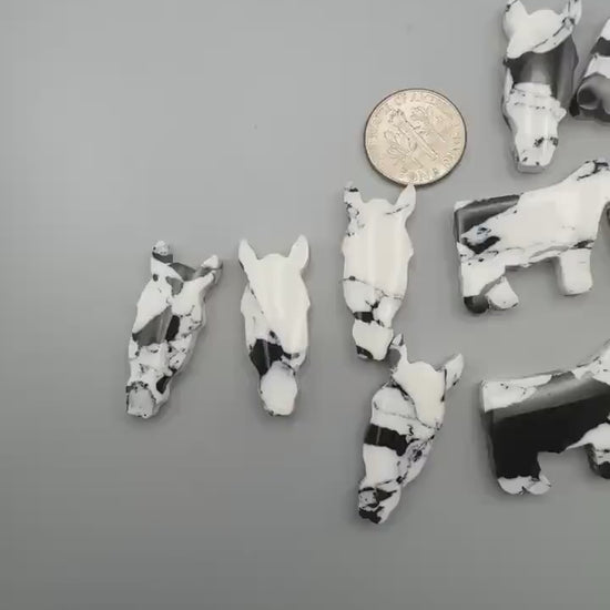 Spiny Oyster Cabochon